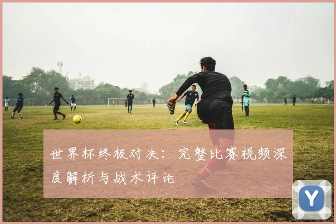 世界杯终极对决:完整比赛视频深度解析与战术评论